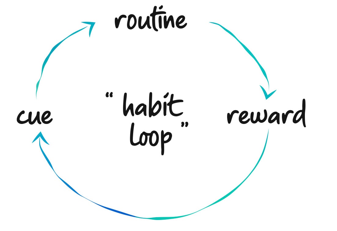 The 5 stages of habit formation - Vianova AI